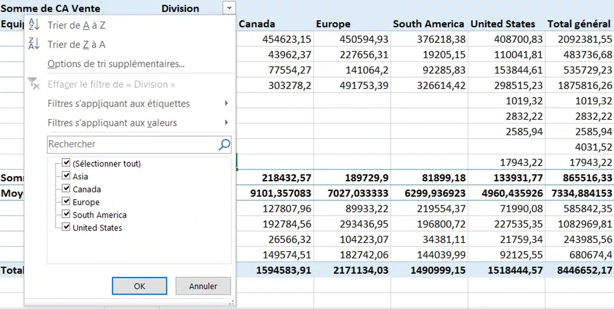 Sélectionner les divisions Asia Canada Europe South America et United States dans un TCD
