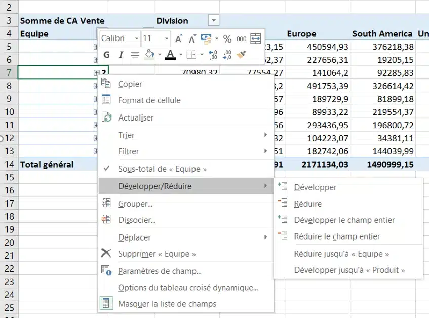 Menu permettant de déplacer supprimer développer ou réduire un champ de tableau croisé dynamique